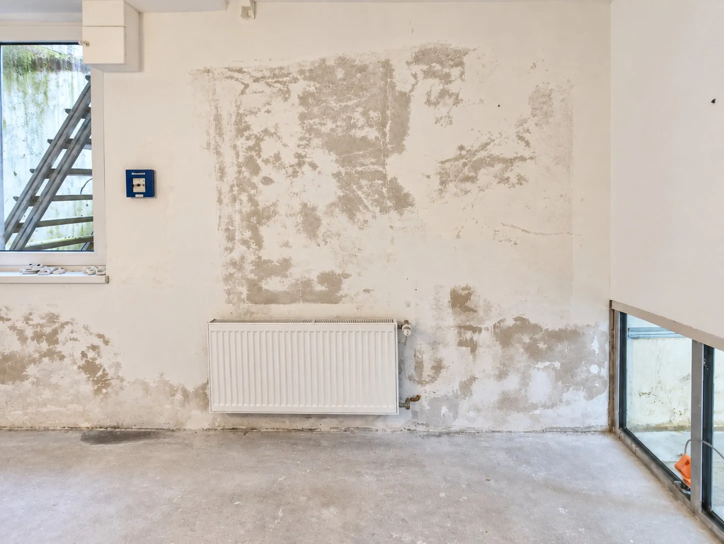 Feuchtigkeit in Wand und Putz